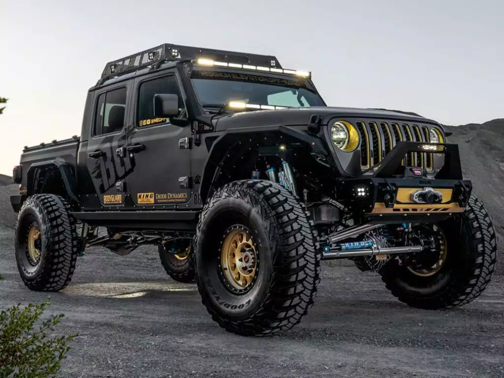 BODYGUARD RX Fender System